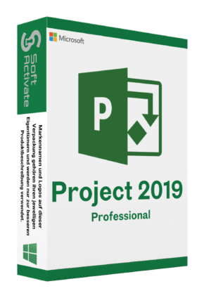 Project 2019 Professional